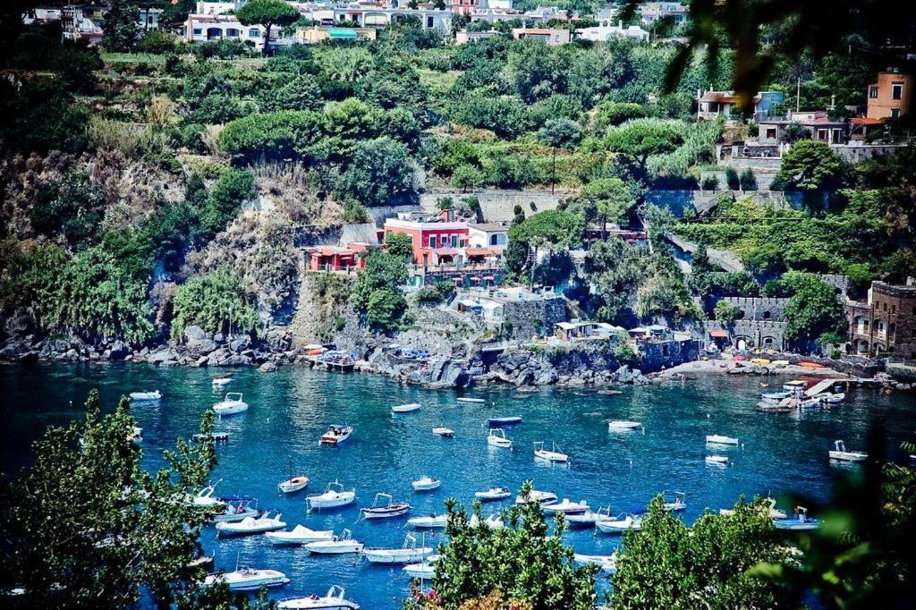 Hotel Villa Antonio Ischia Eksteriør bilde